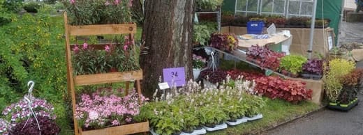 Pflanzenmarkt Botanischer Garten Leipzig Frühling Mai