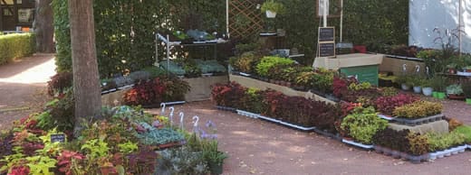 Haus- und Gartenträume Lichtenwalde